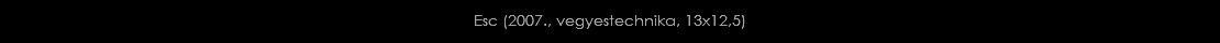 Esc (2007., vegyestechnika, 13x12,5)